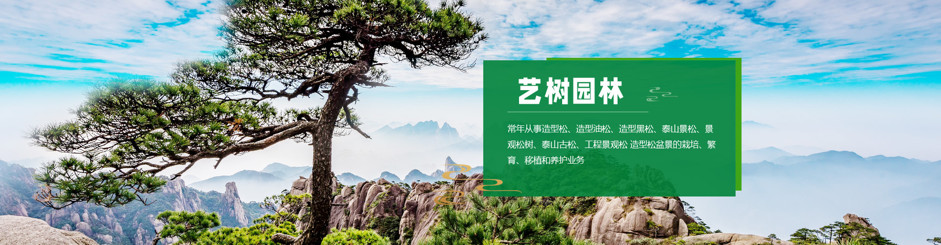 山東省萊蕪泰岳冶金機械有限公司